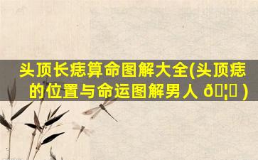 头顶长痣算命图解大全(头顶痣的位置与命运图解男人 🦊 )